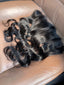 13x6 Secret HD Lace Frontal